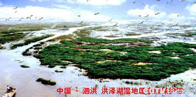 杨毛嘴湿地生态自然保护区