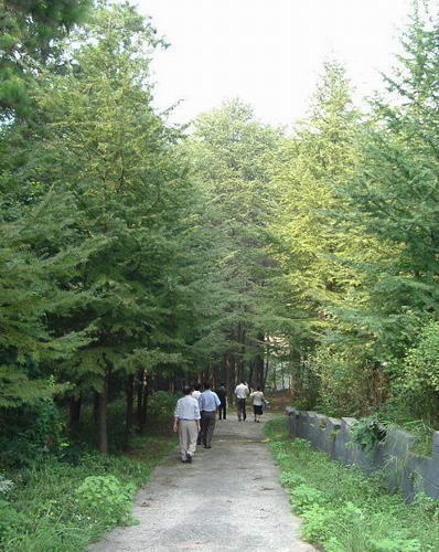 东庵森林公园风景图