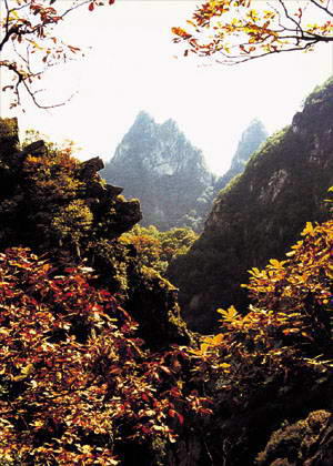 五岳寨国家森林公园风景图