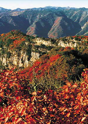 仙台山风景图