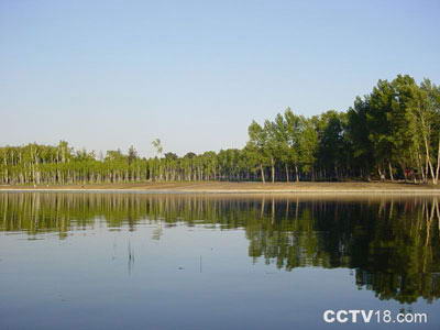 唐山南湖公园风景图