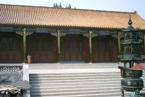 禅林寺古银杏风景园风景图