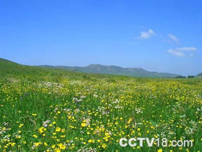 京北第一草原风景图