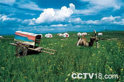 京北第一草原风景图