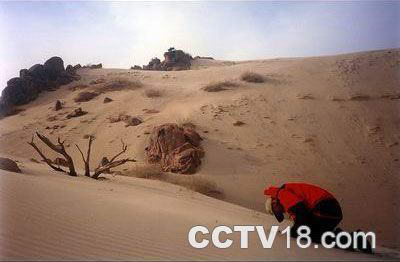 勃隆克沙漠旅游区风景图