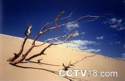 勃隆克沙漠旅游区风景图