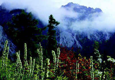 长白山国家级自然保护区风景图