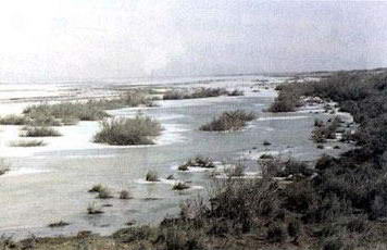 艾比湖湿地自然保护区风景图