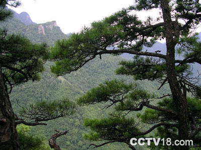 清凉峰风景图