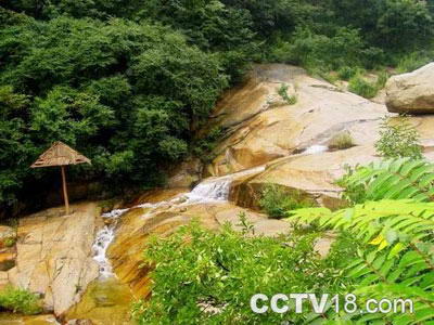 祖山原始森林峡谷风景图