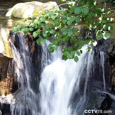 花果山风景图